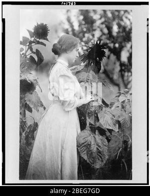 Helen Keller, trois-quarts portrait, debout dans jardin parmi les tournesols, faisant face à droite Banque D'Images