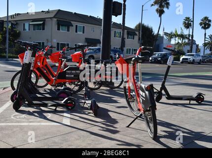 SANTA MONICA, CA/USA - 31 octobre 2019: Uber et Bird vélos électriques et scooters obstruent les trottoirs de Santa Monica Californie Banque D'Images