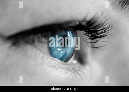 Gros plan photo des femmes bleu clair ouvert oeil. Banque D'Images