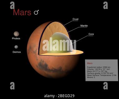 Illustration de la planète Mars. La croûte, le manteau et le noyau sont étiquetés en vue en coupe. On y voit aussi les lunes de Mars, Phobos et Deimos, ainsi que des faits relatifs à la taille, la gravité et la température de Mars. Banque D'Images