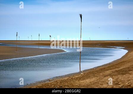 Les piquets nautiques montrent le fairway à la mer ouverte tandis que la marée basse. Neuwerk est une petite île à l'embouchure de la rivière Elbe et appartient au lit hanséatique Banque D'Images