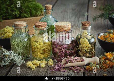 Bouteilles de teinture ou de perfusion d'herbes médicinales saines et de plantes et fleurs séchées sur table. Médecine à base de plantes. Banque D'Images