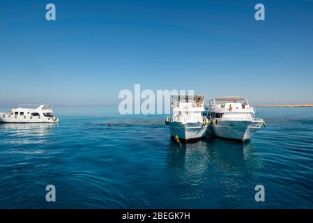 Canotage et plongée en apnée sur la mer Rouge, au large de la côte de Charm el-Cheikh, Egypte. Banque D'Images