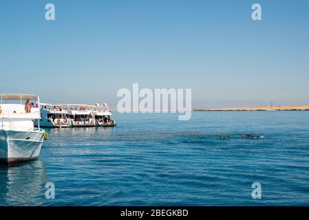 Canotage et plongée en apnée sur la mer Rouge, au large de la côte de Charm el-Cheikh, Egypte. Banque D'Images