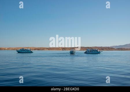 Canotage et plongée en apnée sur la mer Rouge, au large de la côte de Charm el-Cheikh, Egypte. Banque D'Images