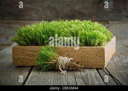 Mousse de bouchons en bois sur table. Banque D'Images