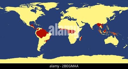 Carte du monde avec les zones tropicales de la forêt tropicale Banque D'Images