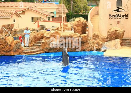 San Diego, 19 AOÛT 2009 - spectacle d'animaux marins des dauphins à SeaWorld Banque D'Images