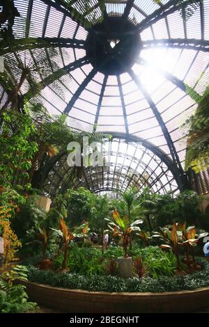 San Diego, 20 AOÛT 2009 - vue intérieure du bâtiment botanique Banque D'Images