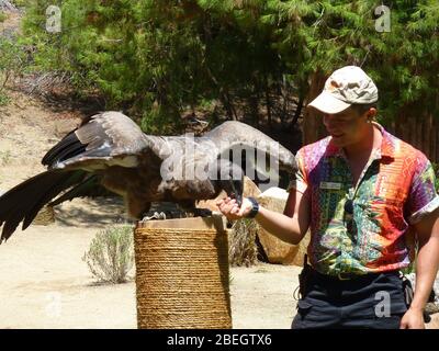 San Diego, 18 AOÛT 2009 - Boutique de cadeaux du San Diego Zoo Safari Park Banque D'Images