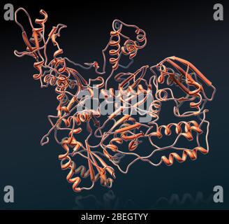 Transcriptase inverse Banque D'Images