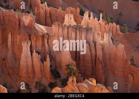 Fairyland Loop Trail à Bryce Canyon Banque D'Images