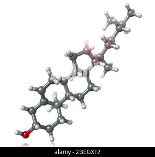 Modèle moléculaire du cholestérol Banque D'Images
