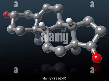 Modèle moléculaire de la déhydroépiandrostérone Banque D'Images