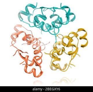 Modèle moléculaire de l'hexamère d'insuline Banque D'Images