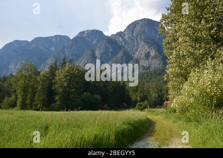 Chalets et terrains du Tweedsmuir Park Lodge, Colombie-Britannique, Canada Banque D'Images