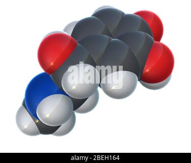 Modèle moléculaire d'épinéphrine Banque D'Images