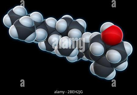 Vitamine D 3, modèle moléculaire Banque D'Images