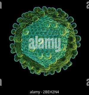 Virus de l'hépatite C. Banque D'Images