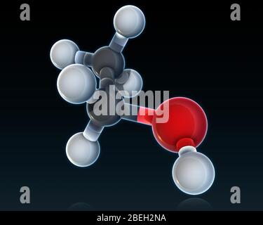 Modèle moléculaire d'éthanol, liquide volatil, inflammable et incolore présent dans les boissons alcoolisées, le carburant, les thermomètres et les solvants. Simplement appelé par beaucoup comme de l'alcool, l'éthanol est responsable des effets psychoactifs de l'intoxication à partir des boissons alcoolisées. Les atomes sont de couleur gris clair (hydrogène), gris foncé (carbone) et rouge (oxygène). Banque D'Images