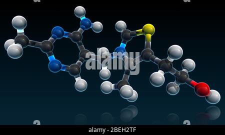 Vitamine B 1, modèle moléculaire Banque D'Images