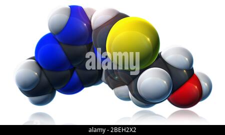 Vitamine B 1, modèle moléculaire Banque D'Images