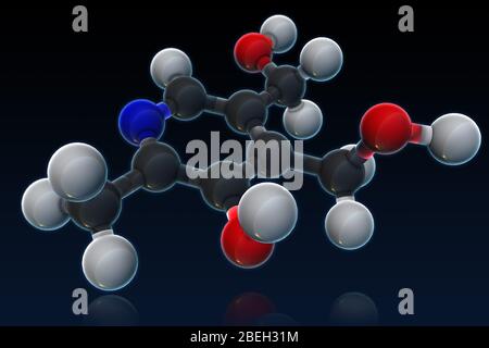 Vitamine B 6, modèle moléculaire Banque D'Images