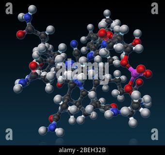 Cyanocobalamine, modèle moléculaire Banque D'Images