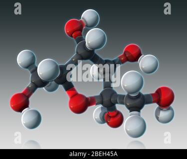 Fructose, modèle moléculaire Banque D'Images