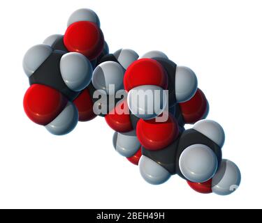 Modèle moléculaire de sucrose, disaccharide composé de glucose et de fructose, communément appelé sucre de table. Le saccharose est une poudre cristalline blanche, inodore et au goût sucré, qui peut être raffinée sous les différentes formes de sucre souvent utilisées dans les aliments ou les boissons. Les atomes sont de couleur gris foncé (carbone), gris clair (hydrogène) et rouge (oxygène). Banque D'Images