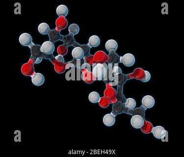 Saccharose, modèle moléculaire Banque D'Images