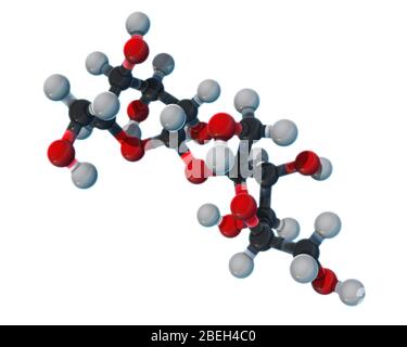 Saccharose, modèle moléculaire Banque D'Images