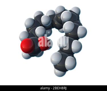 Acide linoléique, modèle moléculaire Banque D'Images