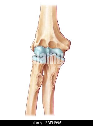 Joint coudé, illustration Banque D'Images