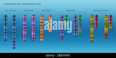 Mutations chromosomiques, Illustration Banque D'Images