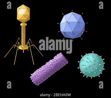 Formes de virus, illustration Banque D'Images