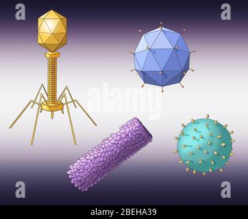 Formes de virus, illustration Banque D'Images