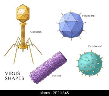 Formes de virus, illustration Banque D'Images