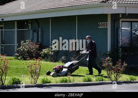 Portland, États-Unis. 13 avril 2020. Un travailleur tond la pelouse du centre de soins de santé de Foster Creek à Portland, en Oregon, le 13 avril 2020. Dix résidents de la maison de soins seraient morts du nouveau coronavirus, représentant près d'un cinquième du total des décès de l'État. (Photo d'Alex Milan Tracy/Sipa USA) crédit: SIPA USA/Alay Live News Banque D'Images