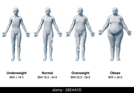L'indice de masse corporelle (IMC) est une mesure utilisée pour quantifier la masse tissulaire en fonction du poids et de la taille d'un individu. L'IMC a été conçu pour classer une personne comme sous-poids, poids normal, surpoids ou obésité, afin de déterminer les risques possibles pour la santé tels que la malnutrition ou les troubles de l'alimentation. Cependant, l'IMC d'une personne ne reflète pas exactement le pourcentage de graisse corporelle. Par exemple, les athlètes professionnels ont un rapport muscle/graisse élevé, ce qui entraîne un IMC mal élevé. Banque D'Images
