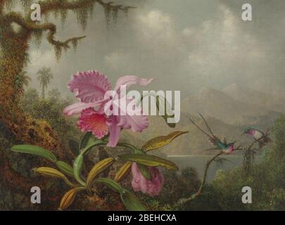 Martin Johnson Heade, Orchids et Hummingbirds, a signé M.J. Heade, l.l. Huile sur toile, 1875-90. Banque D'Images