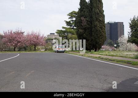 Roma, Italie. 13 avril 2020. Floraison de Sakura, cerisiers japonais, dans EUR Lake Park à Rome, pendant le maintien de la pandémie de Covid-19. (Photo de Matteo Nardone/Pacific Press) crédit: Agence de presse du Pacifique/Alay Live News Banque D'Images