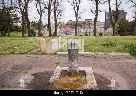 Roma, Italie. 13 avril 2020. Floraison de Sakura, cerisiers japonais, dans EUR Lake Park à Rome, pendant le maintien de la pandémie de Covid-19. (Photo de Matteo Nardone/Pacific Press) crédit: Agence de presse du Pacifique/Alay Live News Banque D'Images