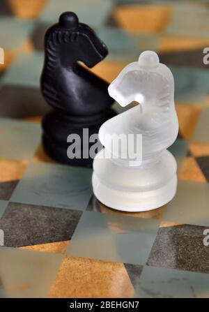 Pièces d'échecs noir et blanc en verre à motif chevalier sur planche de verre. Banque D'Images