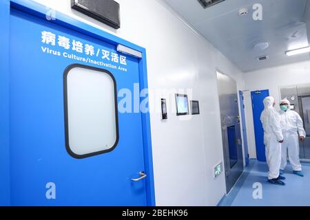 (200414) -- BEIJING, 14 avril 2020 (Xinhua) -- les membres du personnel parlent à côté de la zone de culture/inactivation du virus d'une usine de production de vaccins du Groupe pharmaceutique national chinois (Sinopharm) à Beijing, capitale de la Chine, 10 avril 2020. La Chine a approuvé deux candidats inactivés au vaccin COVID-19 pour des essais cliniques, selon le mécanisme conjoint de prévention et de contrôle du Conseil d'État contre le coronavirus mardi. Les deux candidats au vaccin sont développés par l'Institut des produits biologiques de Wuhan sous le groupe pharmaceutique national de Chine (Sinopharm) et la recherche et développement de Sinovac Banque D'Images