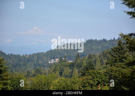 Mt Hood et les banlieues de Portland vues depuis le parc naturel Powell Butte, Portland, Oregon, États-Unis. Banque D'Images