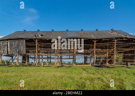 Vues sur une étable de séchage du tabac du Kentucky en cours de démontage Banque D'Images