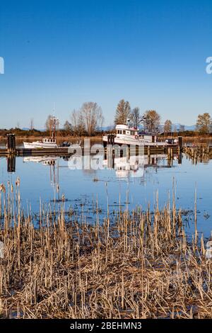 Remorquage du navire Gikumi au quai de triage du navire Britannia à Steveston Colombie-Britannique Canada Banque D'Images