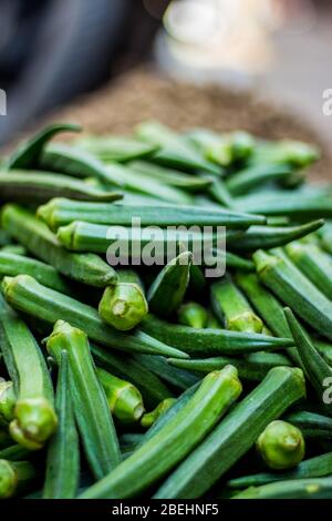 Vert Dames doigt sur le marché des légumes - Okra, Abelmoschchus esculentus, connu dans de nombreux pays comme les doigts de dames ou ochro. Le orig géographique Banque D'Images