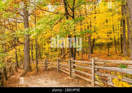 Dundas Valley escarpement du Niagara Hamilton Ontario Canada à l'automne Banque D'Images